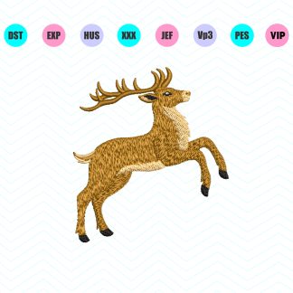 Deer